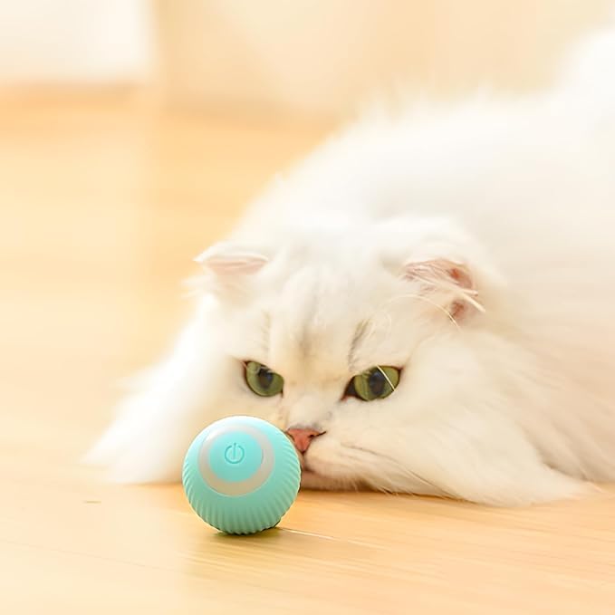 PET ZONE